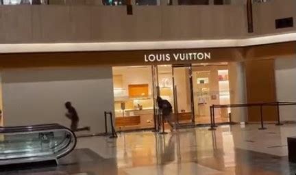 louis vuitton northbrook court fl